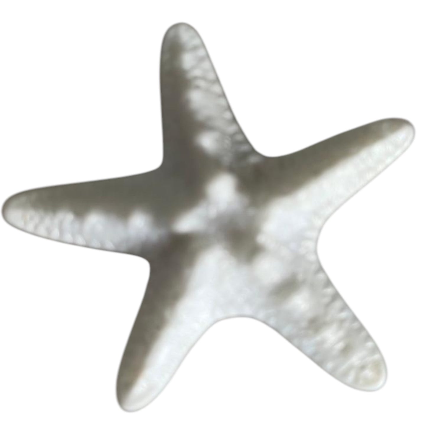 Crocbagg Charms & Accessories