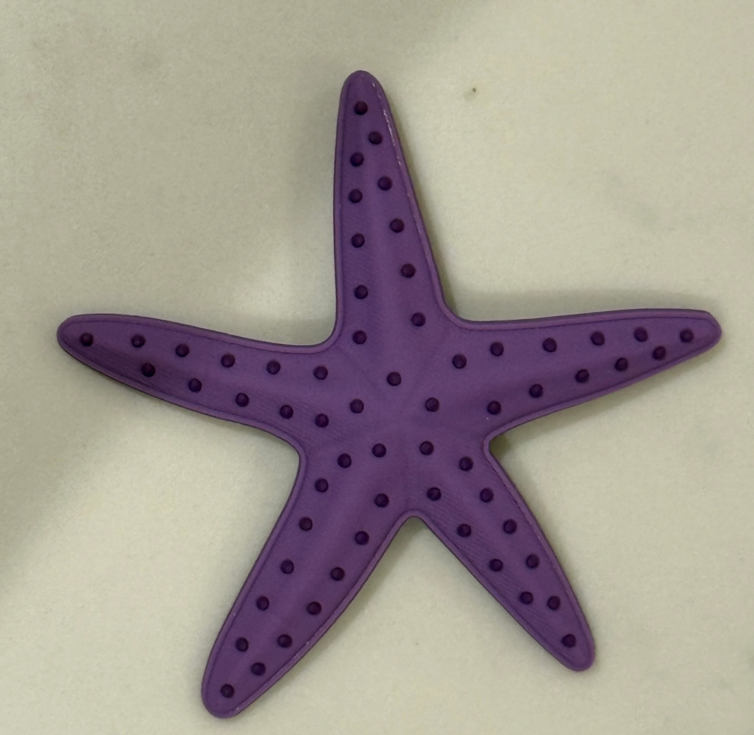 Dark Purple Starfish