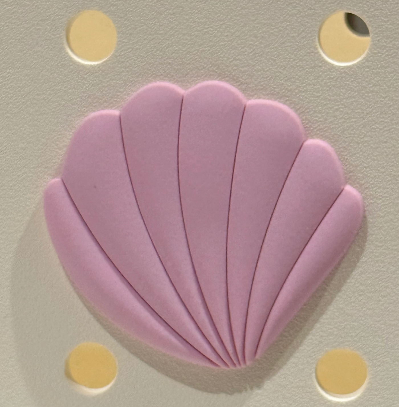 Pale Pink Seashell