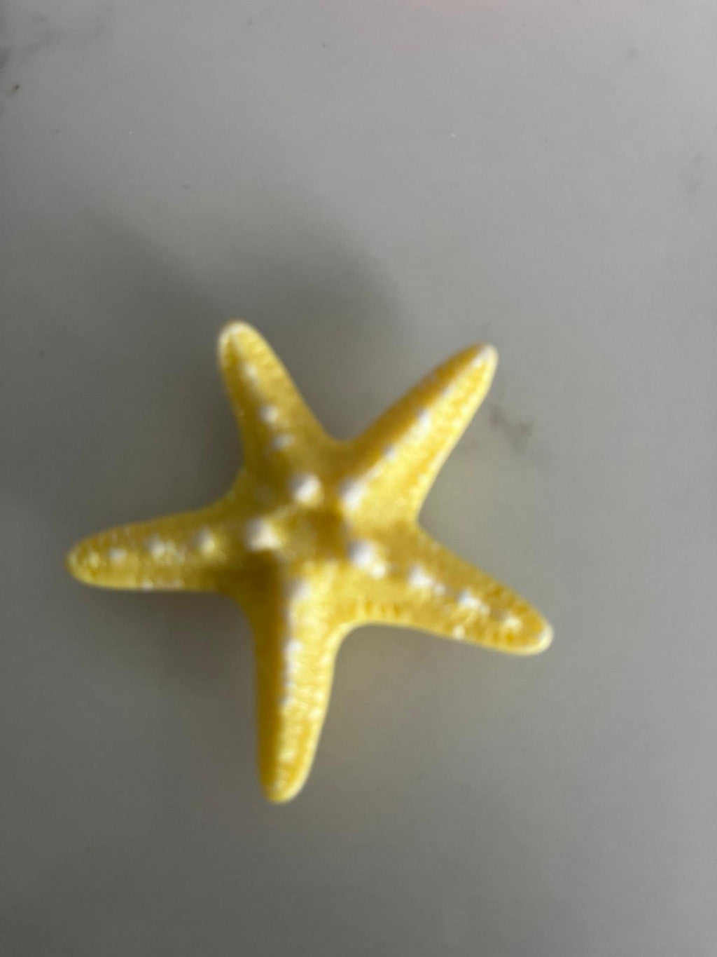 Starfish - Yellow
