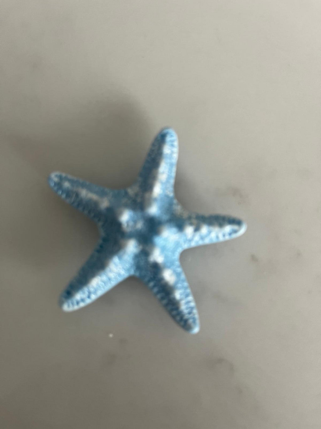 Starfish - Blue