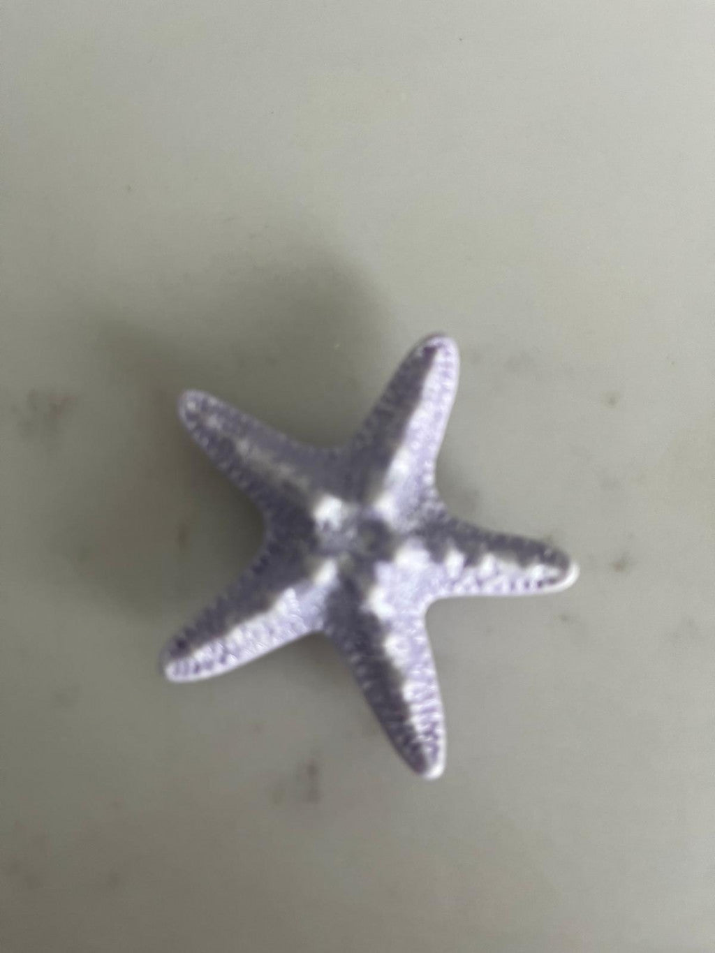 Starfish - Purple