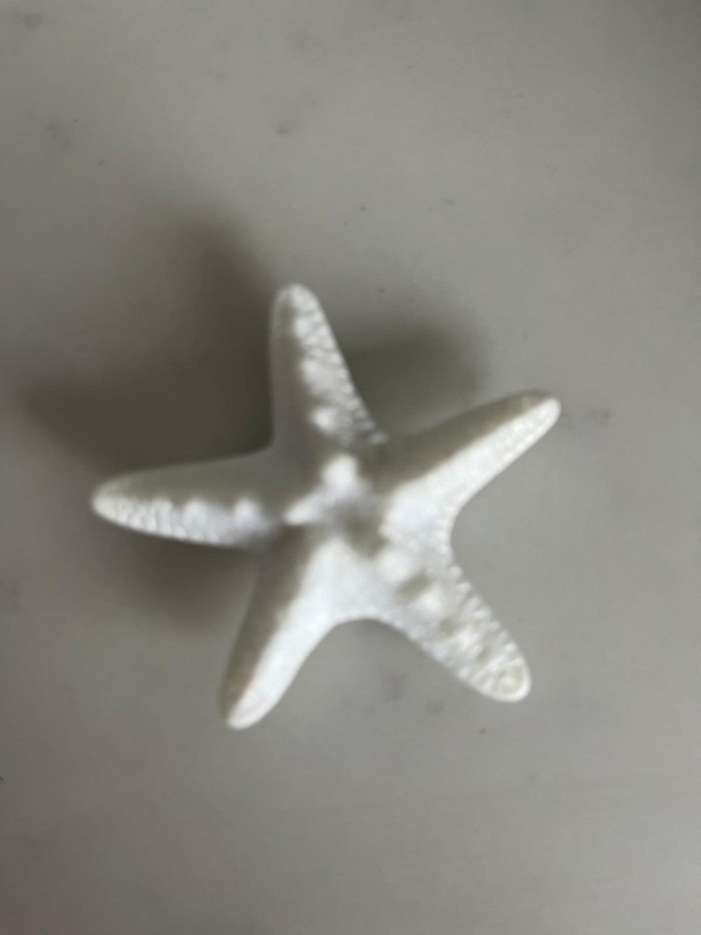 Starfish - White