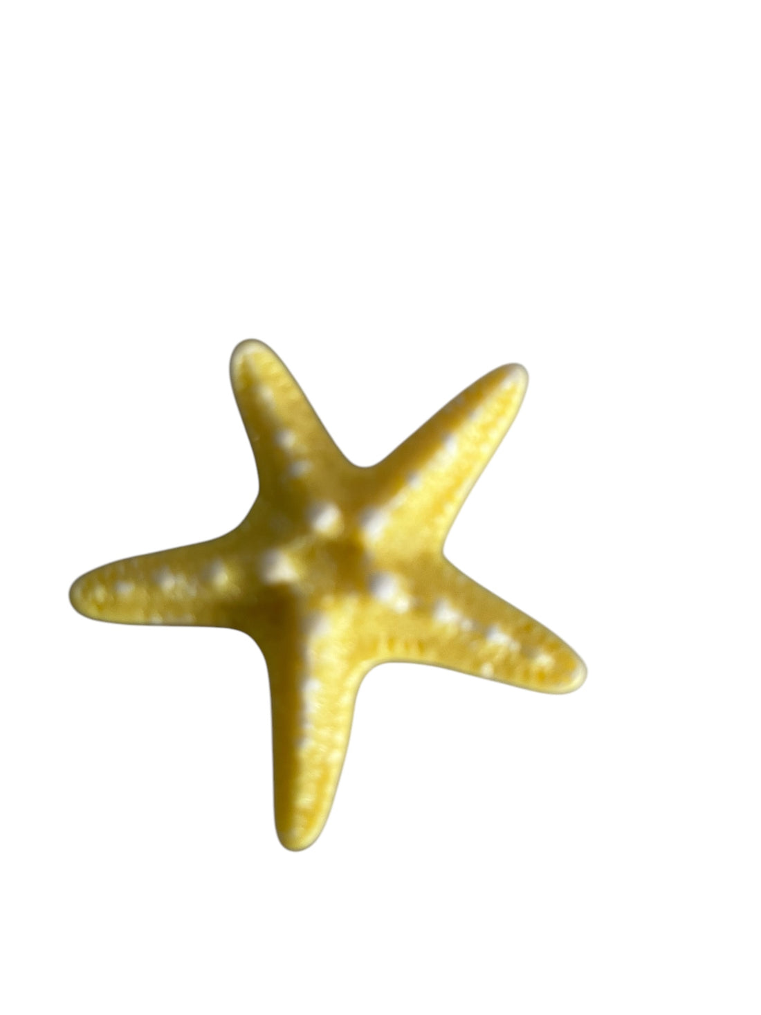Starfish Bag Charm - 4 Colours