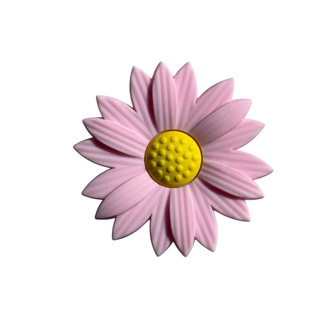 Pink Daisy